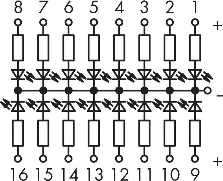 Actual product image Wago Display module