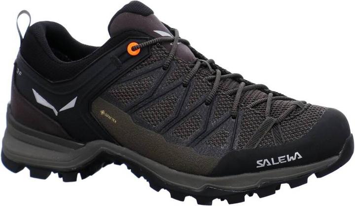 Produktbild Salewa Mountain Trainer Lite GORE-TEX (46)