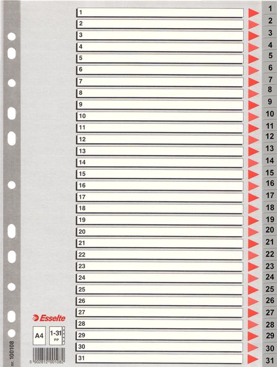 Immagine prodotto Leitz Registri in plastica Esselte, numeri, A4, 1-31, grigio in 31 parti, PP, 0,12 mm, con coperchio