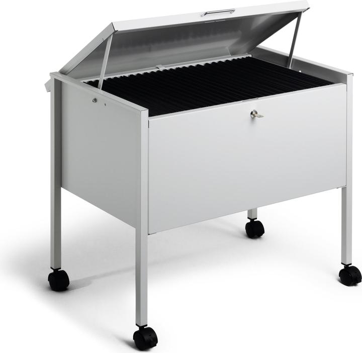 Actual product image Durable ECONOMY SUSPENSION FILE TROLLEY 80 A4 TOP 1 PC 309810 (66 x 44.50 x 59 cm)