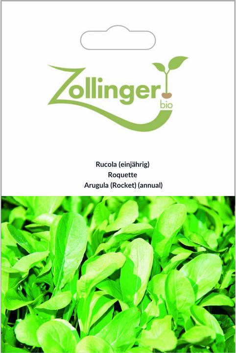 Produktbild Zollinger Bio Rucola (einjährig) (Keimlinge)
