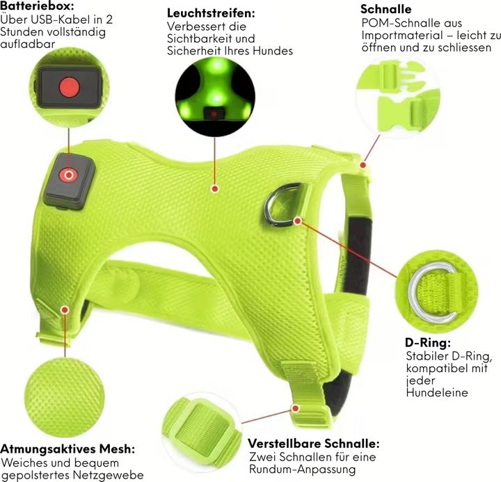 Actual product image Suba LED dog harness (L, Dog, Dog sport, Walks)