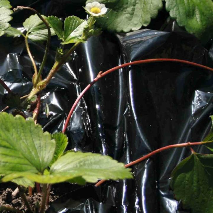 Produktbild Siena Garden Mulchfolie 1,2x10m schwarz