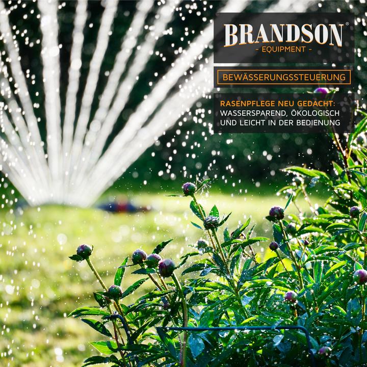 Actual product image Brandson Irrigation control, irrigation timer, water timer, automatic irrigation system (Water timer, Irrigation computer)