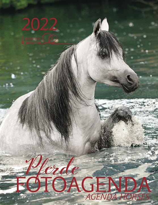 Produktbild Agenda 2022