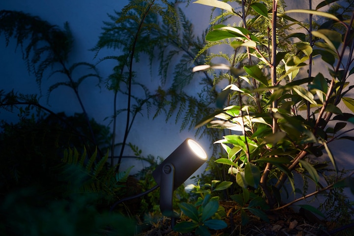 Image du produit Philips Hue Extension Lily (640 lm, IP65)