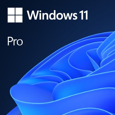 Actual product image Microsoft Windows 11 Pro 64bit, NL version (1 User, unlimited)
