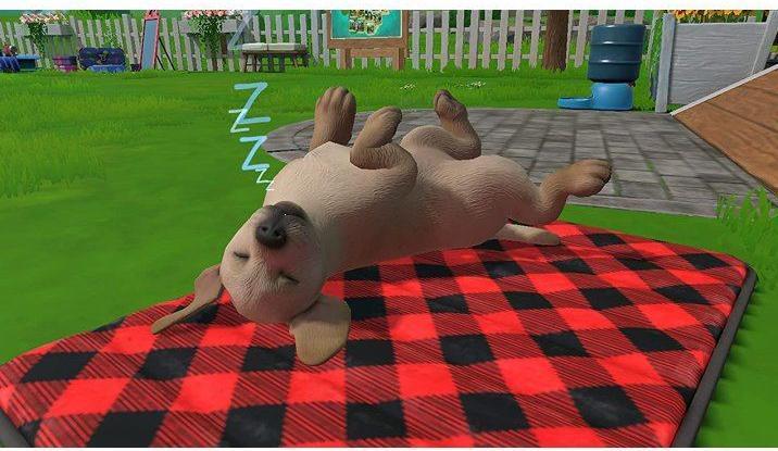 Image du produit Fireshine Games Little Friends : L'île aux chiots (Switch, Switch Lite, Switch OLED)