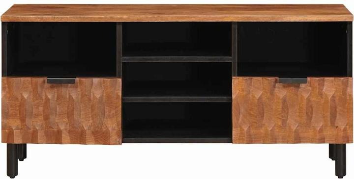 Actual product image vidaXL TV-Schränk (33 x 100 x 46 cm)