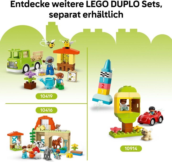 Image du produit LEGO Kreativer Blumengarten (10444)