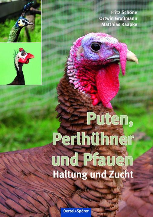 Produktbild Puten, Perlhühner und Pfauen (Deutsch, Fritz Schöne, Matthias Raapke, Ortwin Grossmann, 2019)