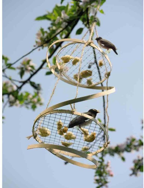 Produktbild Magni Hexanet verzinkt 25/0,8/1000/25 m