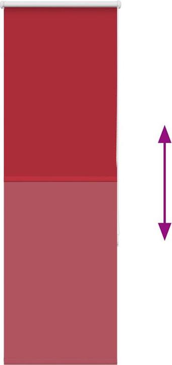 Produktbild vidaXL Verdunkelungsrollo (55 x 175 cm)