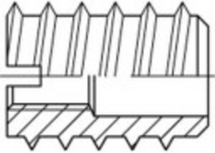 Image du produit Toolcraft Écrous à visser M6 Acier (100 Vis par pièce)