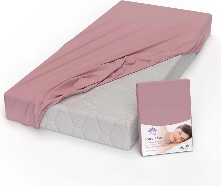 Actual product image Lotus Bettwaren Jersey fitted sheet Souplesse (100 x 200 cm, 90 x 190 cm)