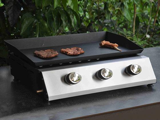 Actual product image BBQ Dragon Valencia (6.30 kW)