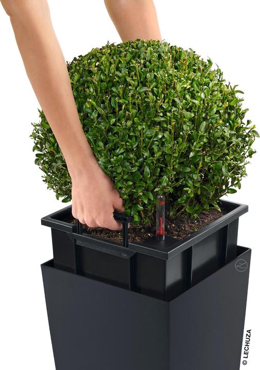 Produktbild Lechuza Cubico (39.50 cm)