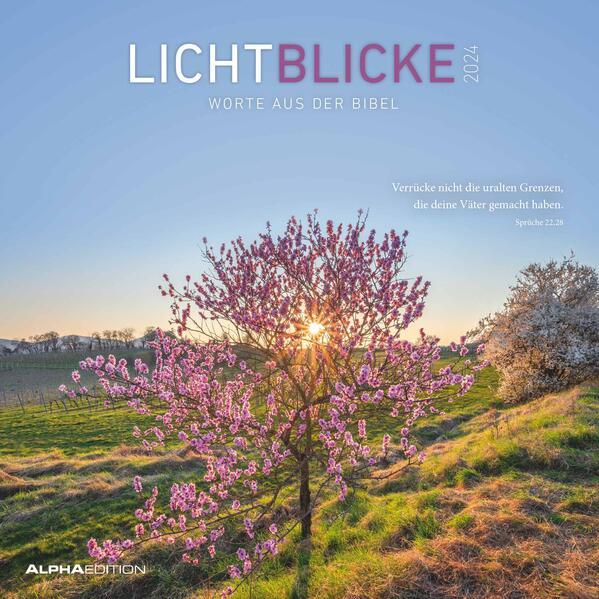 Produktbild Alpha Edition Lichtblicke 2024 - Broschürenkalender 30x30 cm (30x60 geöffnet) - Kalender mit Platz für Notizen - (Deutsch)