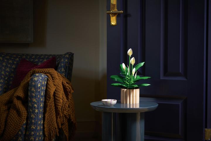 Produktbild LEGO Friedenslilie (11504, LEGO Botanical)