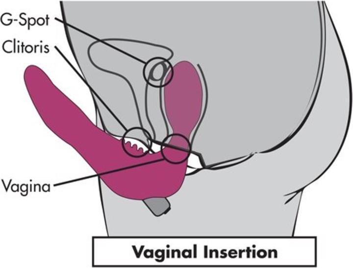 Actual product image PowerBullet Infinity