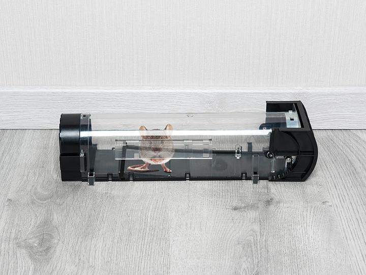 Produktbild Exbuster Lebend-Mausefalle