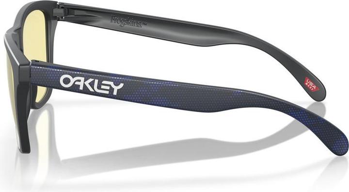 Actual product image Oakley Frogskins