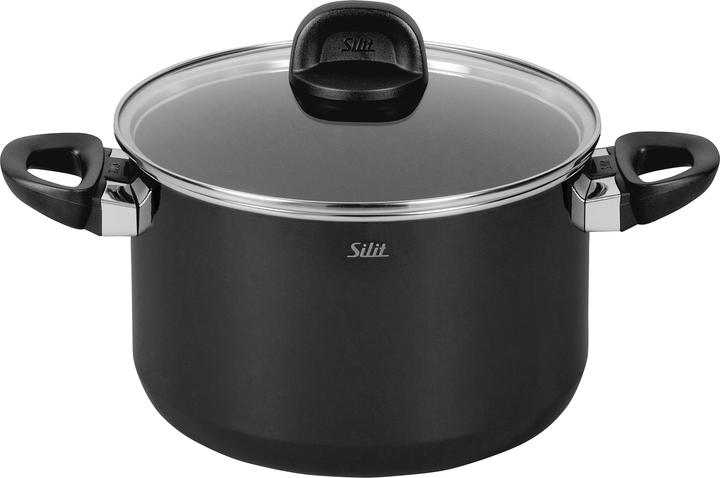 Actual product image Silit Kochtopf Fleischtopf Induktion 24cm Glasdeckel 6,4l Modesto Line Silargan (Pot, Silargan, 24 x 14.90 cm)
