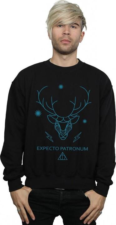Produktbild Expecto Patronum Sweatshirt (L)