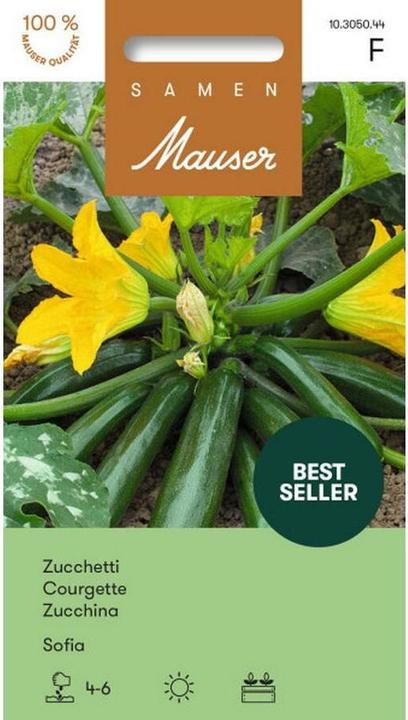 Actual product image Samen Mauser Zucchetti Sofia Profiline (Vegetable seeds)