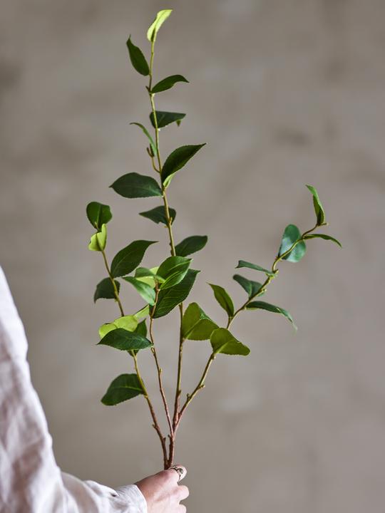 Immagine prodotto Bloomingville Eucalipto (110 cm)