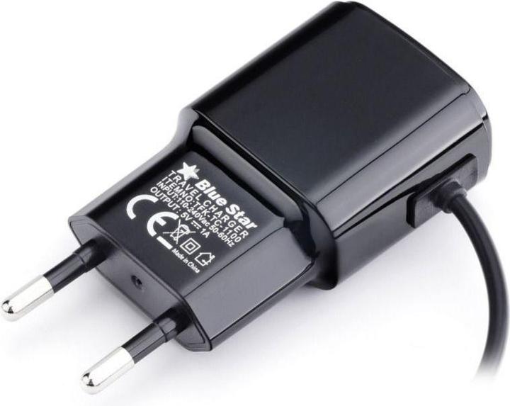 Actual product image Cable Blue Star BLUE STAR travel charger 2A 10W with cable Micro USB TFK-TC-1100B black (10 W)