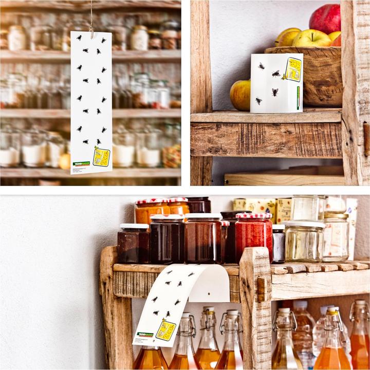 Produktbild Windhager Eco Fliegenfänger