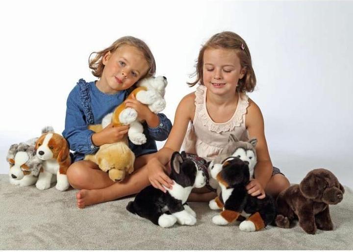 Actual product image Gipsy Australian Shepherd Dog