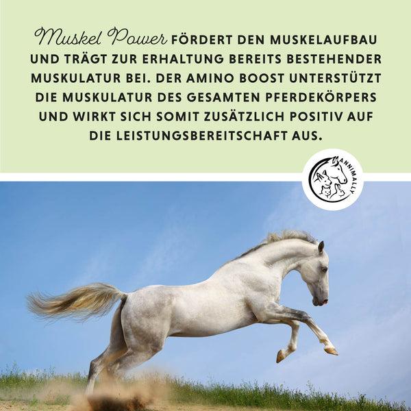 Produktbild Annimally Muskelpower Pulver - Nachfüllpackung (1 x, 2000 g)