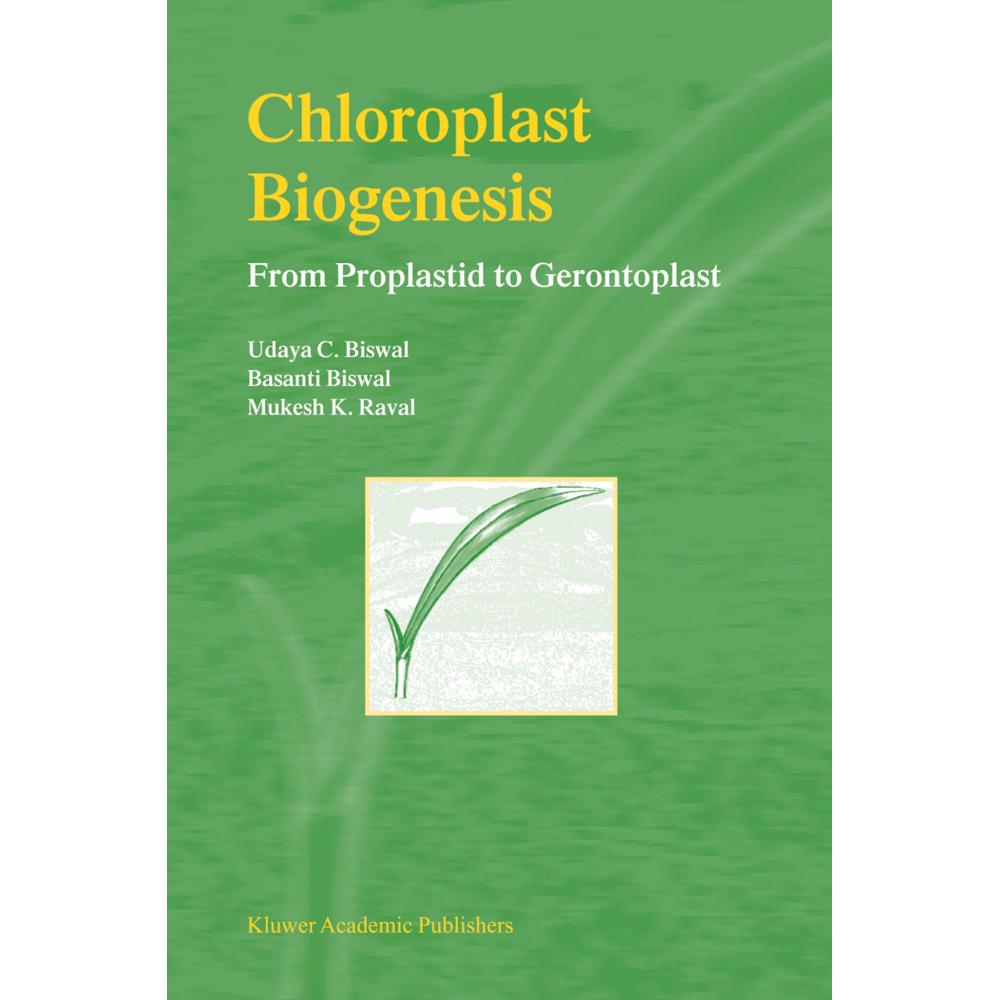 Chloroplast Biogenesis, Fachbücher von Udaya C. Biswal, M. K. Raval