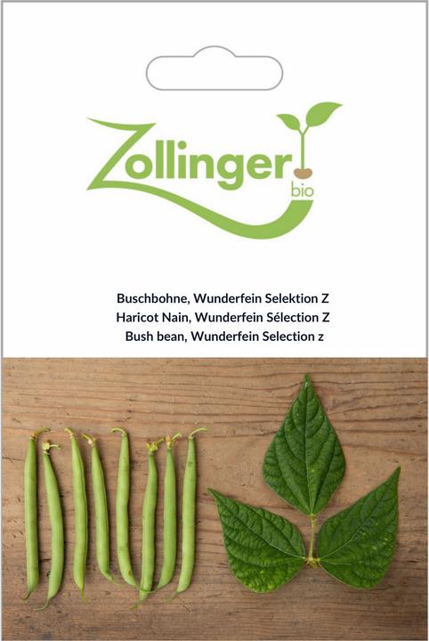 Image du produit Zollinger Bio Haricot nain, Wunderfein Sélection Z