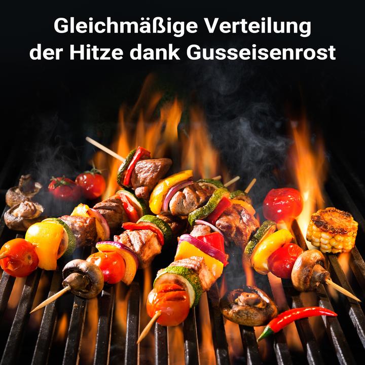 Image du produit Wiltec Gusseisen Grillrost 49,8x24,3x0,9cm Grill Rost Grillzubehör BBQ Gussrost