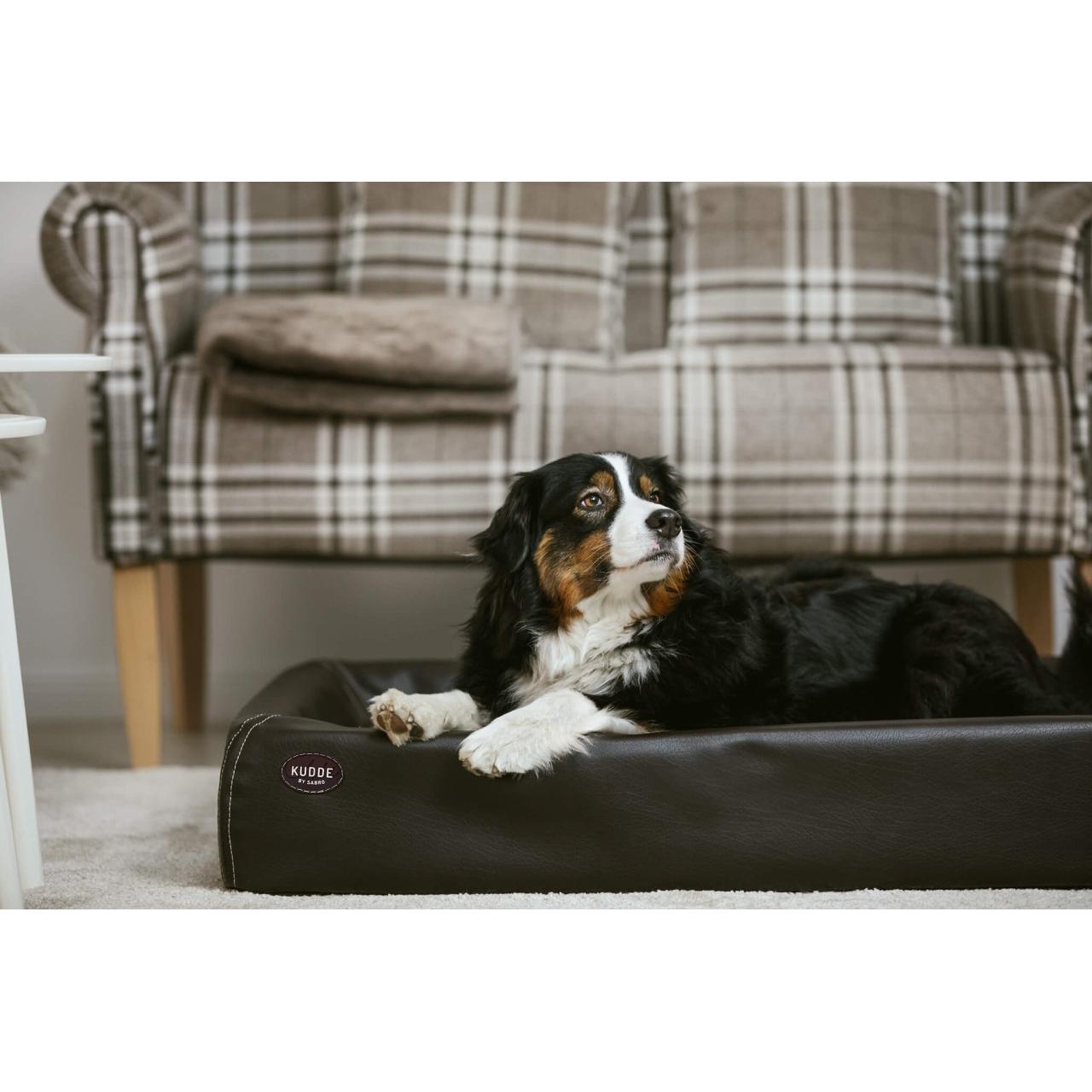 Sabro Dog bed Kudde buy at Galaxus