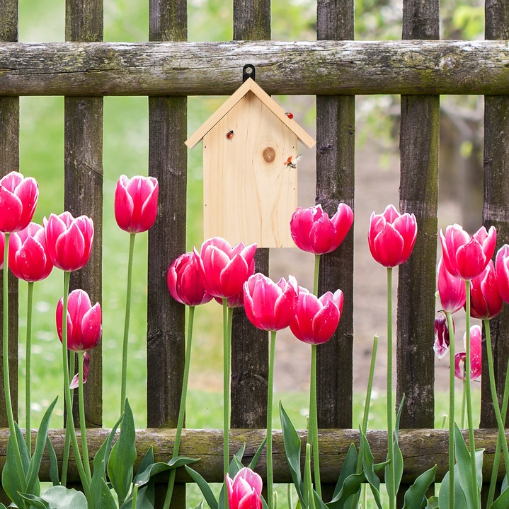Actual product image Relaxdays ladybird house (Ladybirds)