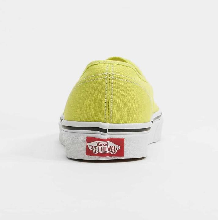 Image du produit Vans Ua Authentic Color Theory Chaussures - 86781 (38)