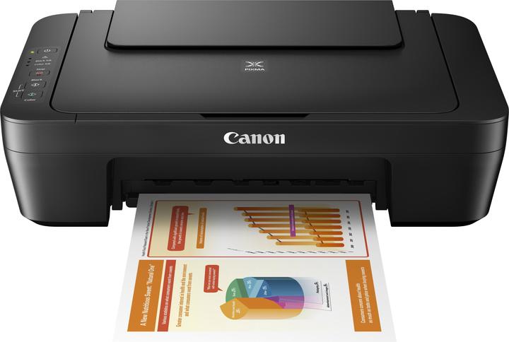 Actual product image Canon Pixma Mg2550s (Ink, Colour)