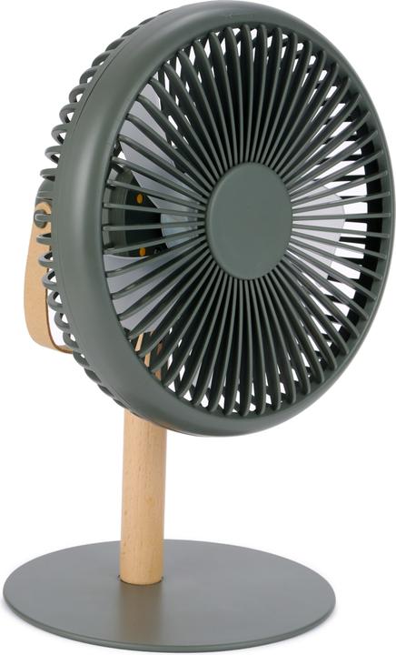 Produktbild Gingko Beyond