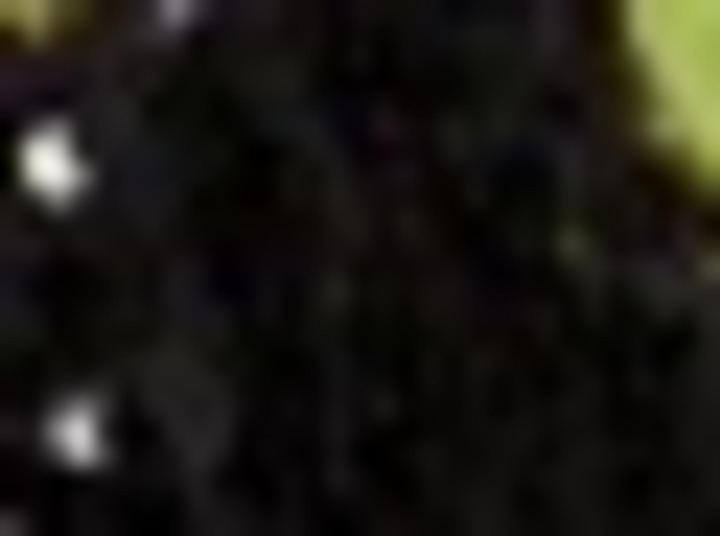 Produktbild Samoon Strickjacke mit Leo-Print und Pailletten Jacke Strick - 64290 (56)