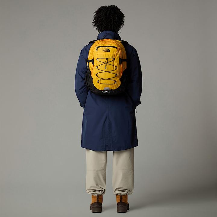 Produktbild North Face Borealis Classic (29 l)
