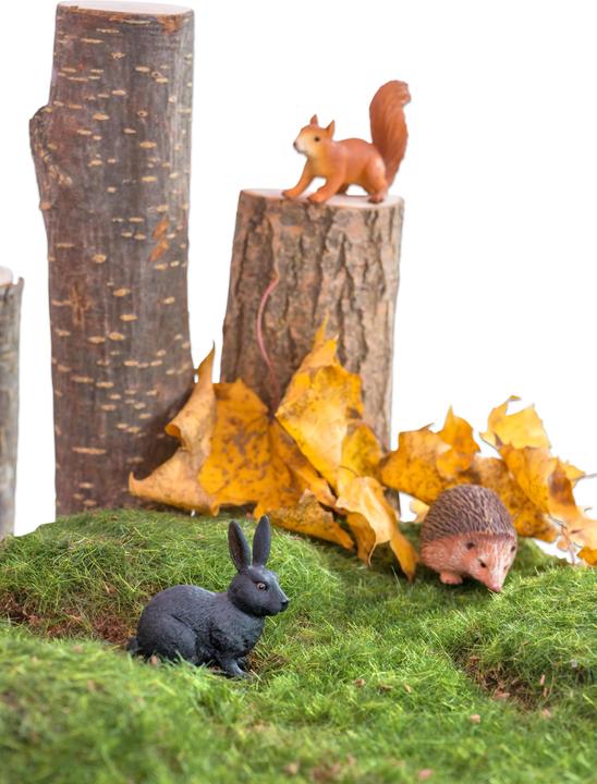 Image du produit Betzold Animaux de la forêt