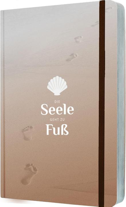 Image du produit Die Seele geht zu Fuss (Allemand, Birgit Trowel, 2022)