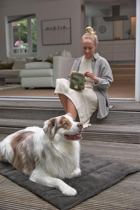 Immagine prodotto Palopa Tappeto per cani (Cane)