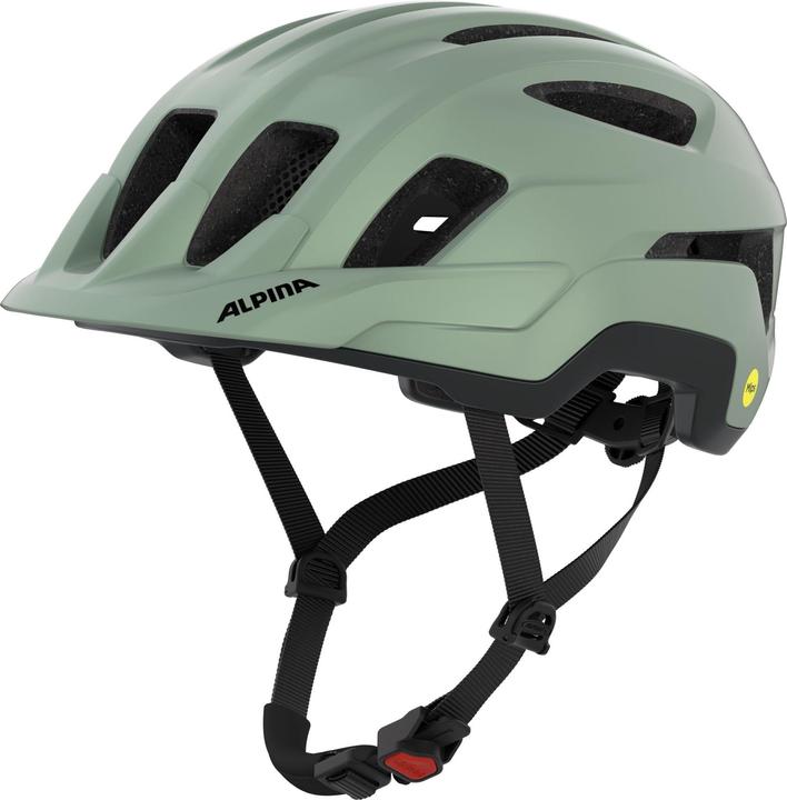 ALPINA SPORTS Paranus Mips