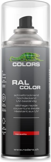 Actual product image Colors Clear lacquer (Clear lacquer, 0.40 l)