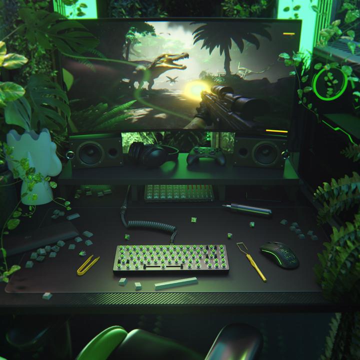 Actual product image Glorious PC Gaming Race Glorious Raptor Switch, mechanical, 5-pin, clicky, MX stem, 55g - 36 pieces